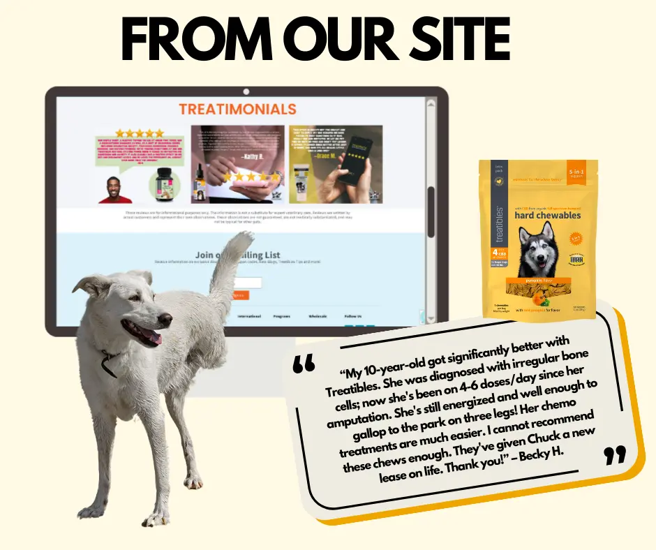 Dog in front of a computer screen displaying Treatibles testimonials and product packaging, emphasizing pet wellness and positive customer feedback on CBD supplements for pets.