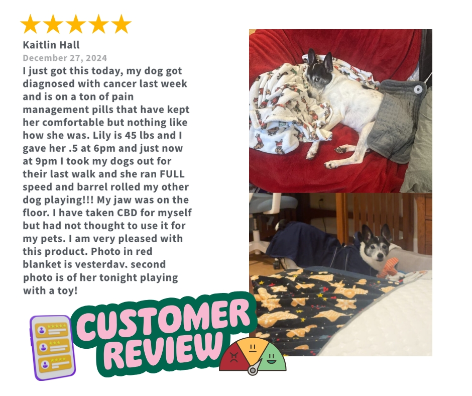 Customer review featuring a dog named Lily, comfortably resting on a red blanket, showcasing her improved energy and happiness after using Treatibles CBD products for pets.