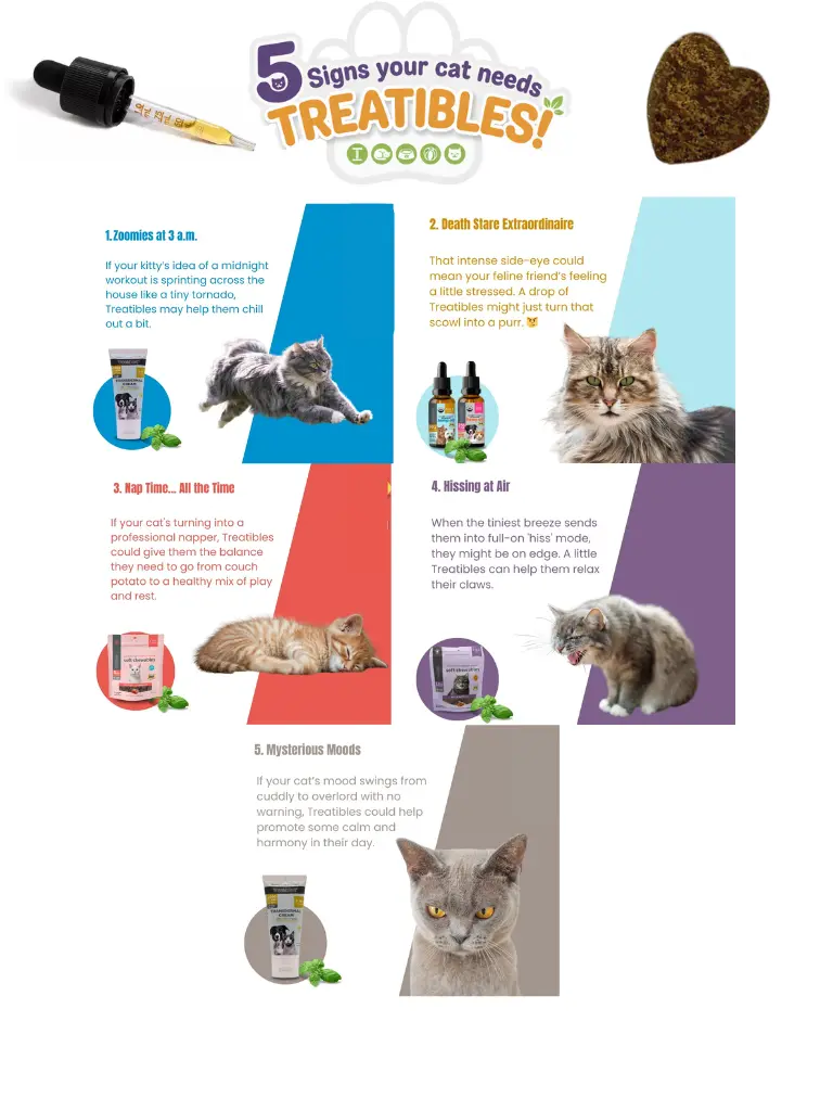 5 reasons cats should use Treatibles mobile image