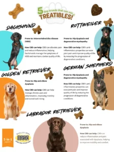 5 dog breeds that can use Treatibles Blog Graphic