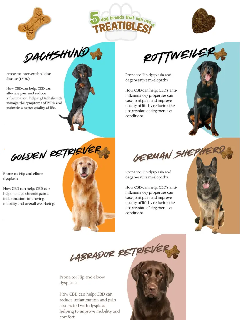 5 dog breeds that can use Treatibles Mobile Banner