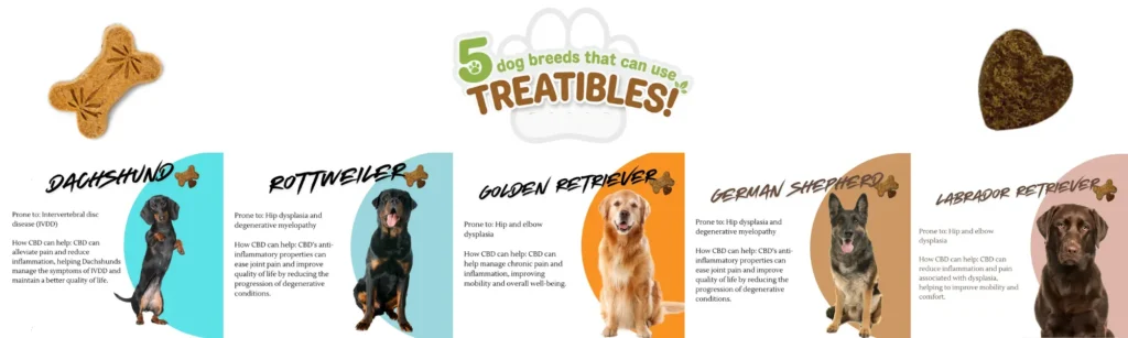 5 dog breeds that can use Treatibles Banner