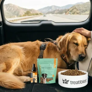 Wagging Wheels: How CBD Can Transform Your Pet’s Holiday Travel Experience Graphic