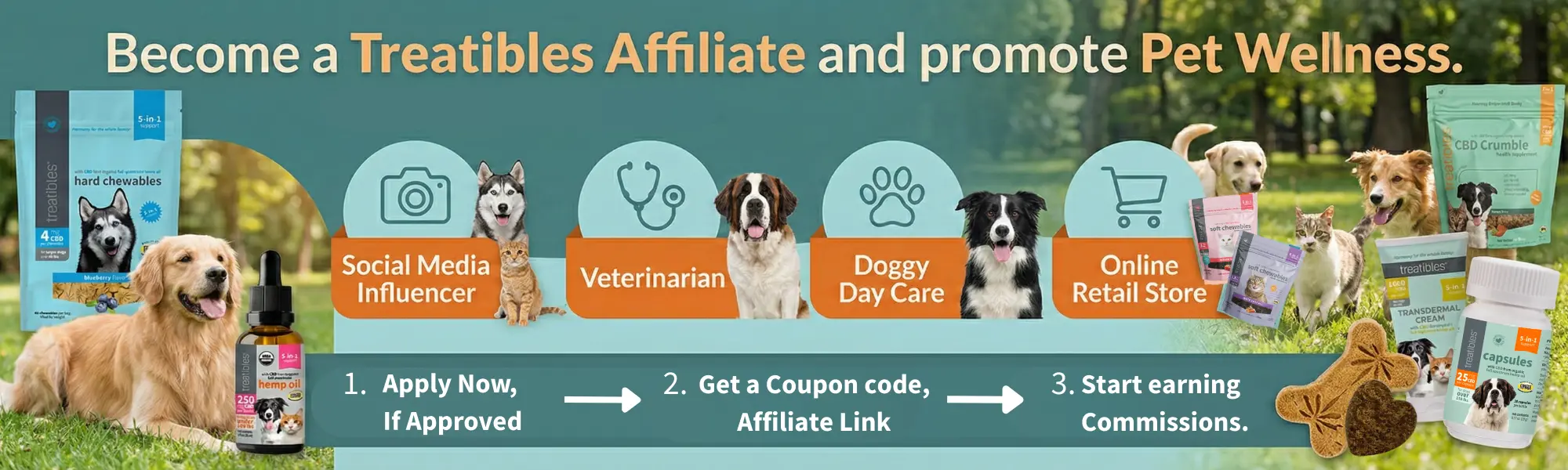 Affiliate program Website header banner