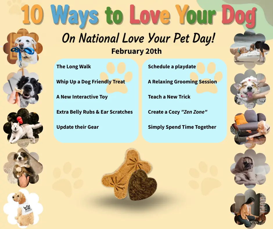 National Love Your Pet Day Graphic