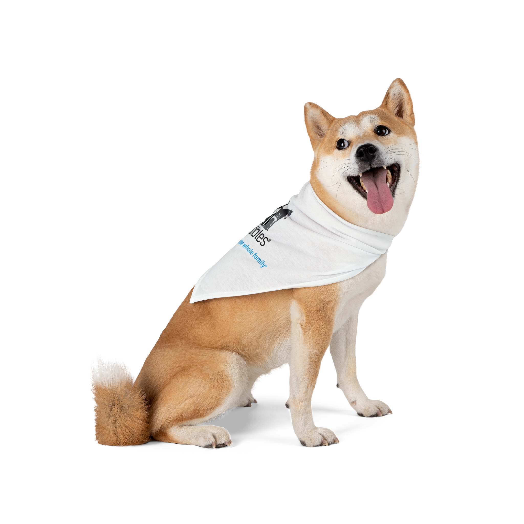 Treatibles Pet Bandana - Image 10