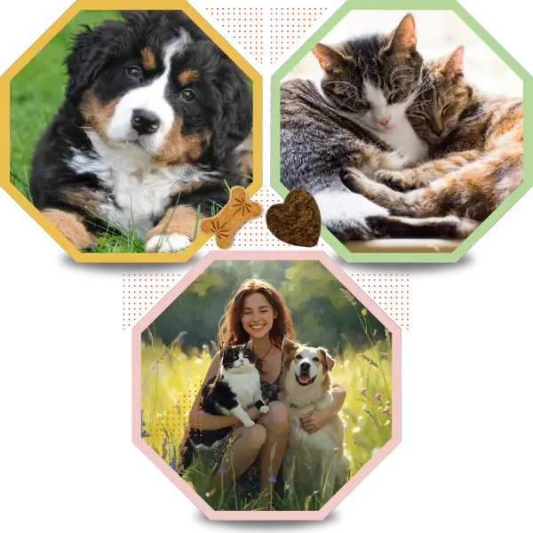 Image in 3 octagon sections of a cat, a dog, and pet mom