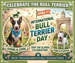 Celebrating International Bull Terrier Day Graphic