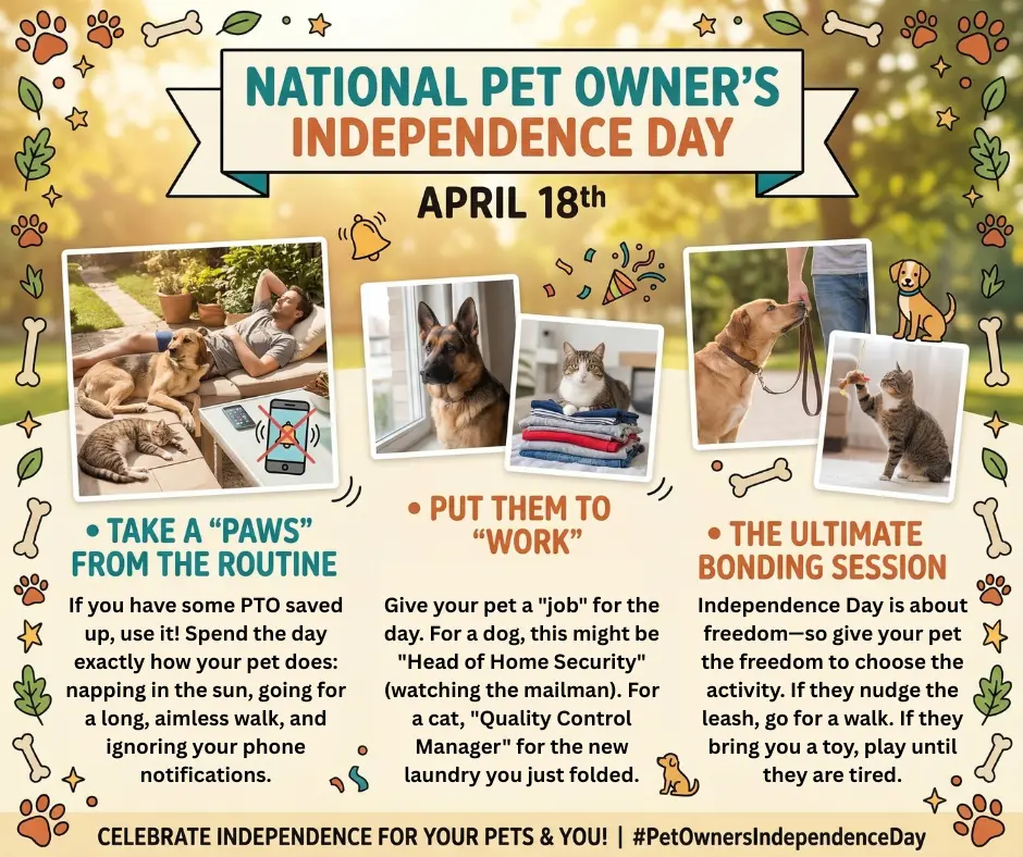 National Pet Owner's Independence Day blog graphic