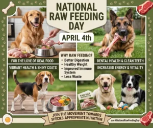 Raw feeding week blog graphic