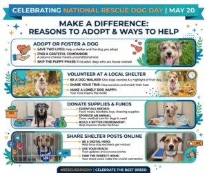 national Rescue dog Day May 20th blog graphic