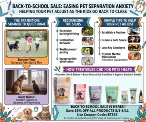 Back to school separation anxiety blog graphic