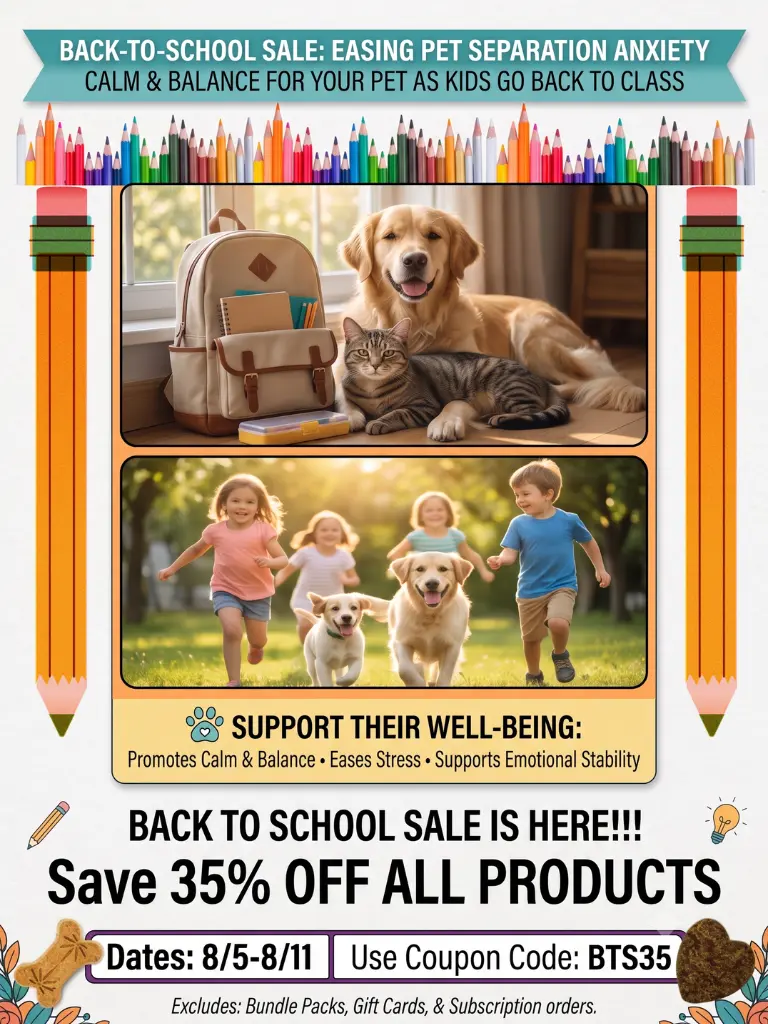 Back to school sale mobile website banner
