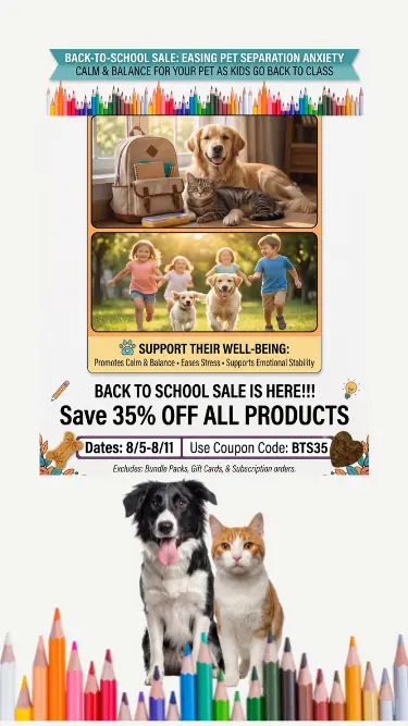 Back to school sale mobile website banner