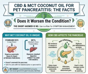 CBD-MCT Pancreatitis Blog Graphic