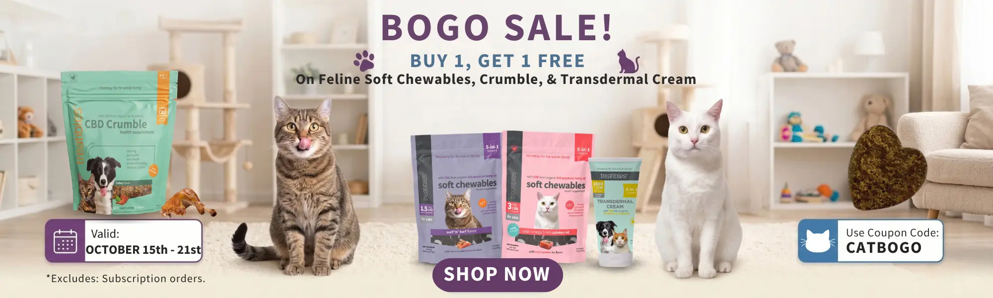 Cat bogo sale website graphic