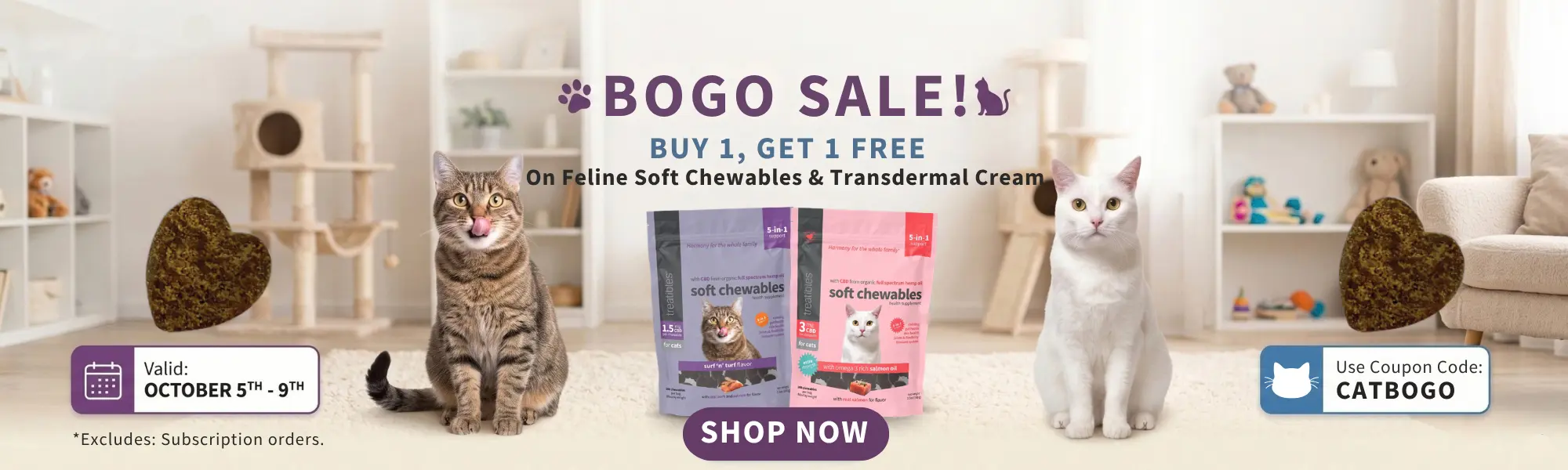 Cat BOGO sale website banner