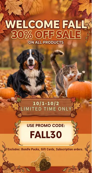 missed fall sale mobile banner